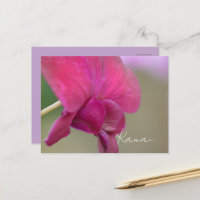 Fleur d'orchidée rose Kauai