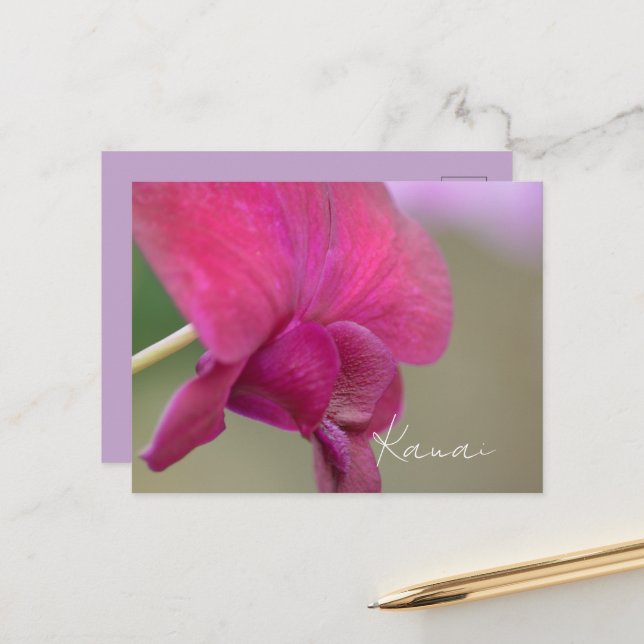 Carte Postale Fleur d'orchidée rose Kauai (Devant/Arrière en situation)