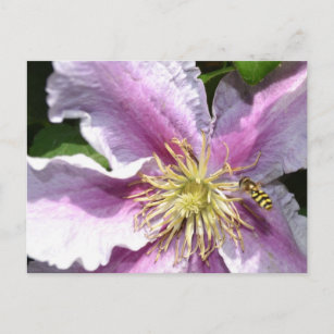 Carte Postale Fleur exotique avec abeille