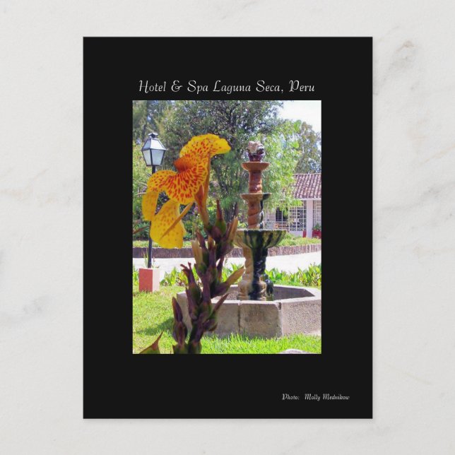 Carte Postale Fleur & Fontaine, Hôtel & Spa Laguna Seca, Pérou (Devant)