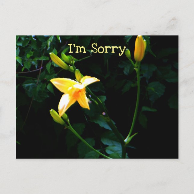 Carte Postale Fleur jaune (Devant)