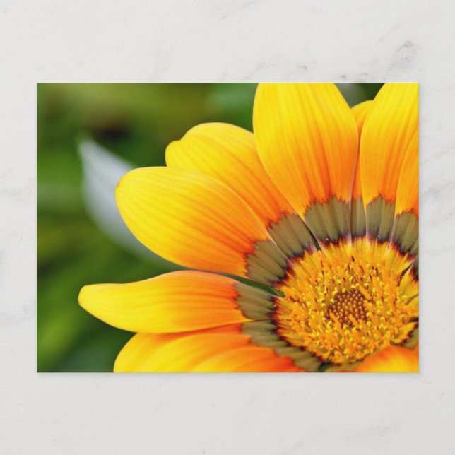 Carte postale Fleur Jaune (Devant)