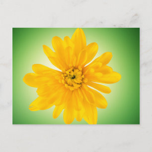 Carte Postale Fleur jaune