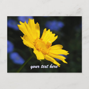 Carte postale Fleur Jaune