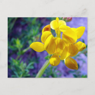 Carte Postale Fleur jaune 2