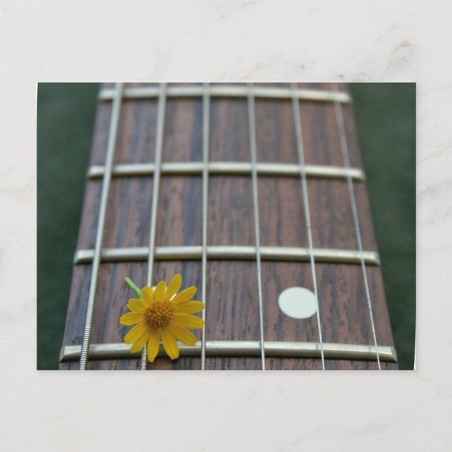 Carte Postale Fleur jaune sur le cou de la guitare (Devant)
