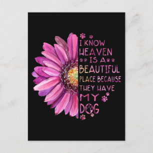 Carte Postale Fleur Je Sais Que Le Ciel Est Un Beau Lieu Pâtes C