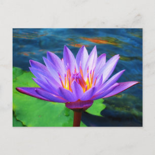 Carte Postale Fleur Lotus