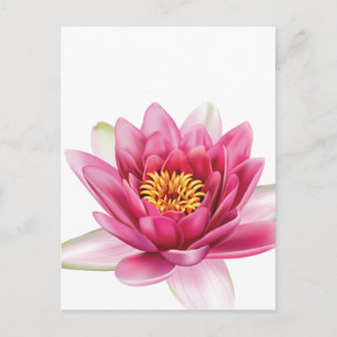 Carte Postale Fleur Lotus