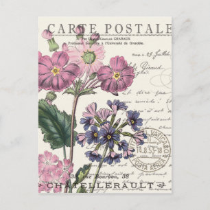 Carte Postale fleur moderne vintage française