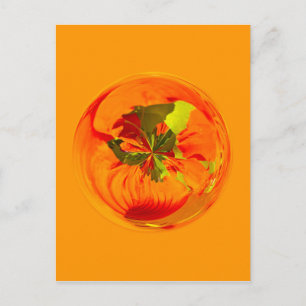Carte Postale Fleur orange dans le globe