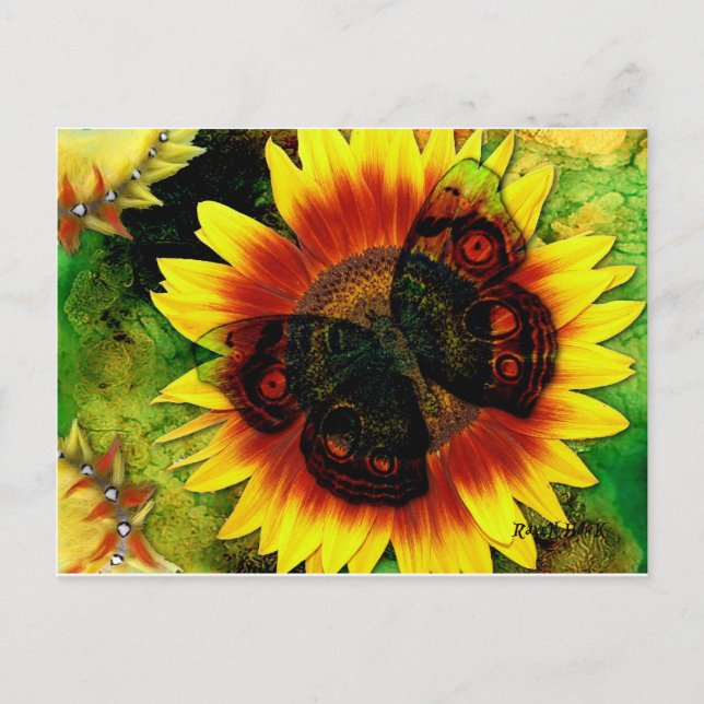 Carte Postale Fleur papillon (Devant)