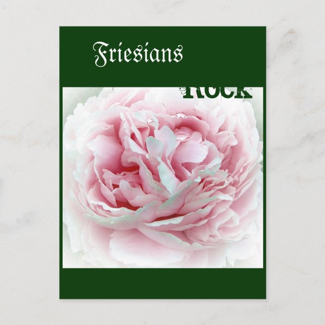 Carte Postale Fleur Pastel (Devant)