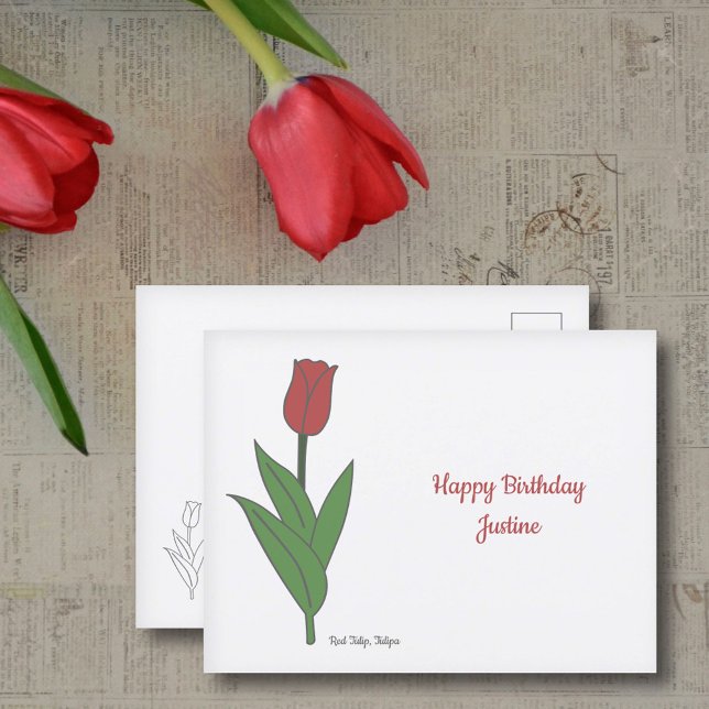Carte Postale Fleur pastel de Tulipe rouge botanique (Botanical Red Tulip Postcard)