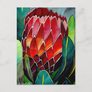 Carte Postale Fleur Protea rouge aquarelle originale