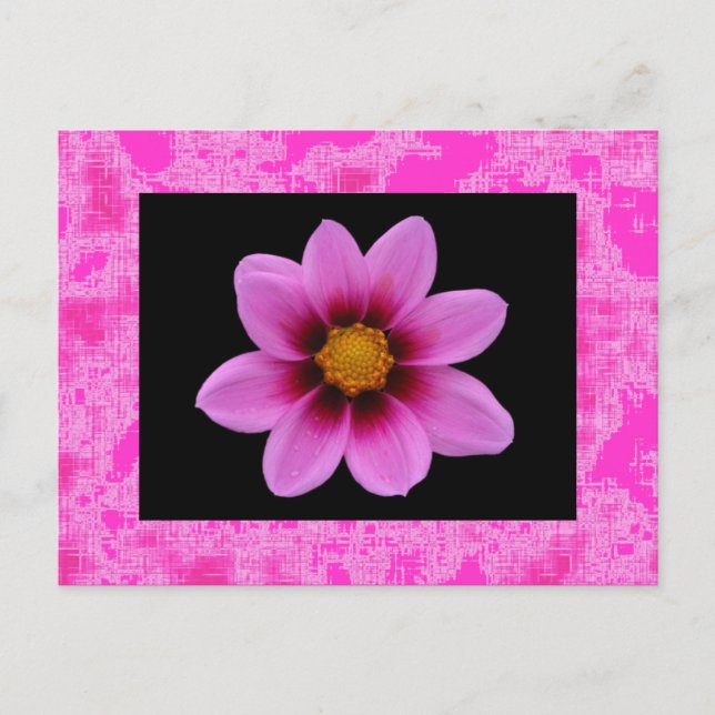 Carte Postale Fleur rose (Devant)