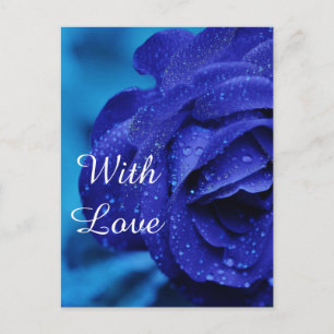 Carte Postale Fleur rose bleue