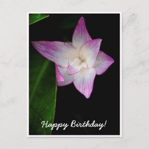 Carte Postale Fleur rose délicieuse Joyeux anniversaire