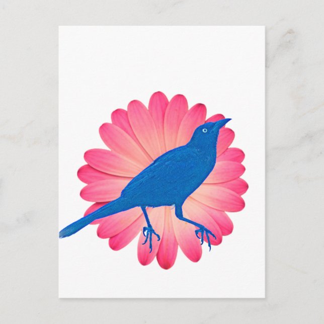 Carte Postale Fleur rose et oiseau (Devant)