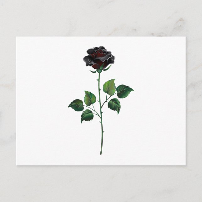 Carte Postale Fleur rose noire (Devant)