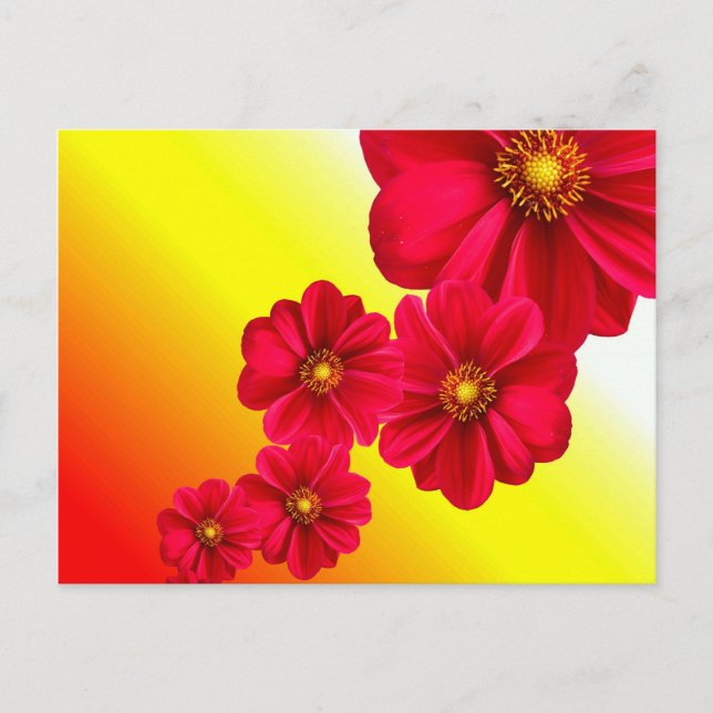 Carte postale Fleur rouge (Devant)