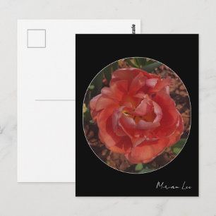 Carte Postale fleur rouge 