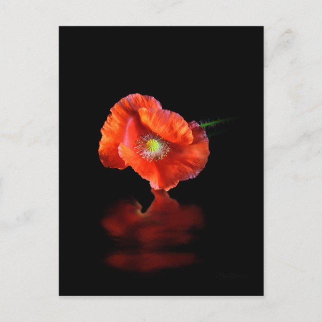 Carte Postale Fleur Rouge (Devant)