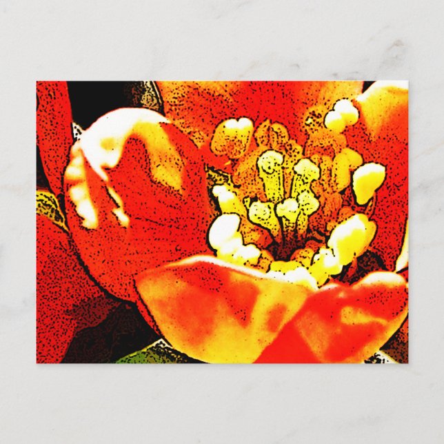 Carte Postale Fleur rouge (Devant)