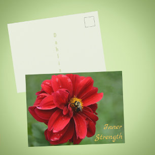 Carte Postale Fleur rouge Dahlia et Bumblebee photo