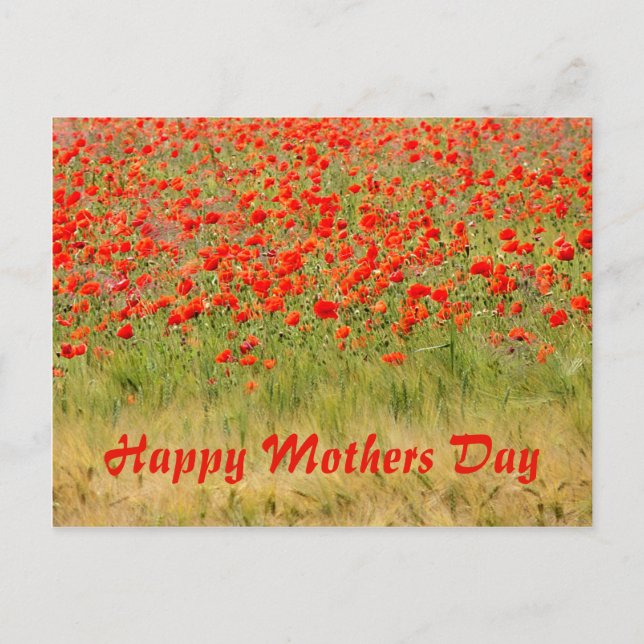 Carte Postale fleur rouge d'été, fête des mères (Devant)