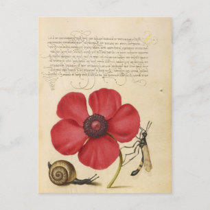 Carte Postale Fleur Rouge Et Escargot
