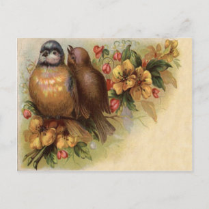 Carte Postale Fleur Rouge Jaune Oiseau Robin