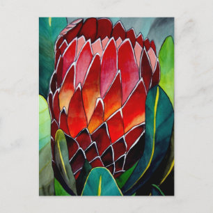Carte Postale Fleur rouge Protea art original aquarelle