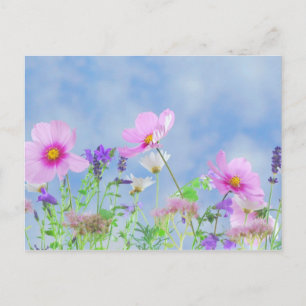 Carte Postale Fleur sauvage