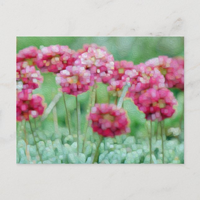 Carte Postale Fleur sauvage (Devant)