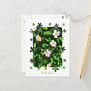 CARTE POSTALE FLEUR SAUVAGE