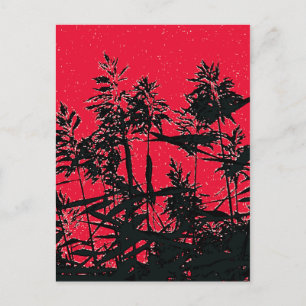 CARTE POSTALE FLEUR SAUVAGE