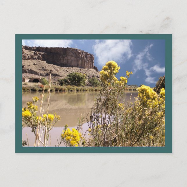 Carte postale Fleur sauvage du Colorado (Devant)