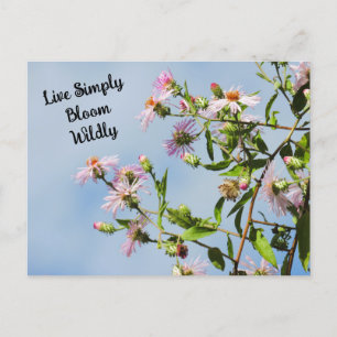 Carte Postale Fleur sauvage rose sur citation bleue