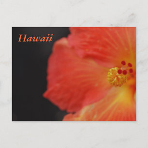 Carte Postale Fleur tropicale Hawaï