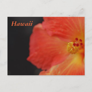 Carte Postale Fleur tropicale Hawaï