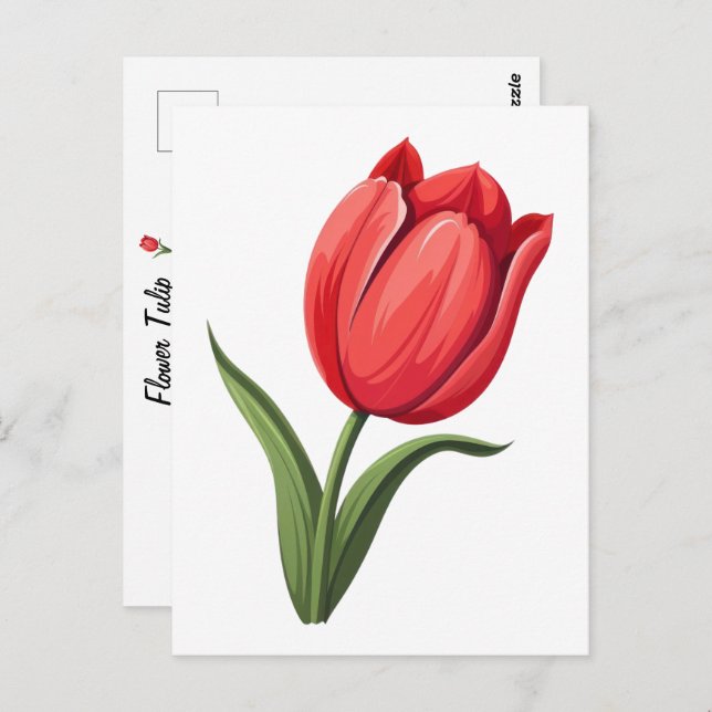 Carte Postale Fleur Tulipe (Devant / Derrière)