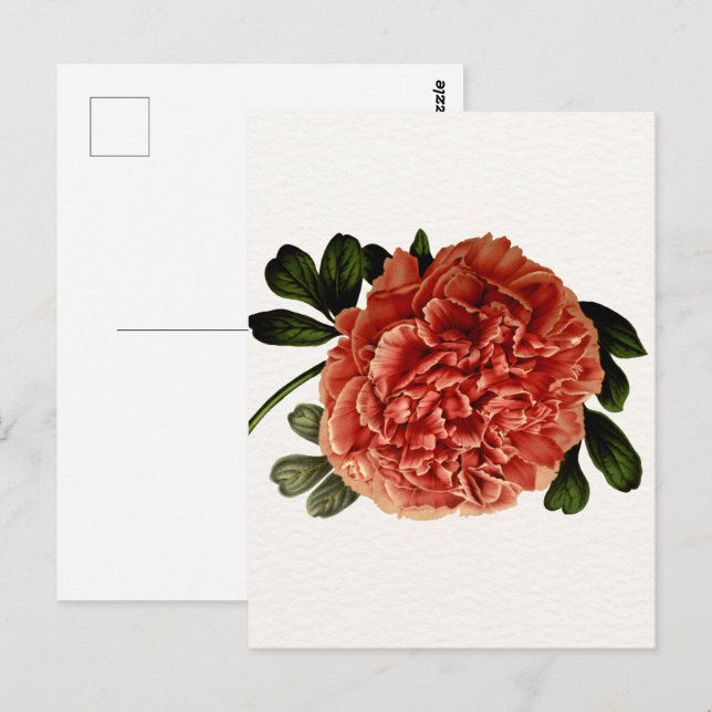 Carte Postale Fleur Vintage classique (Devant / Derrière)