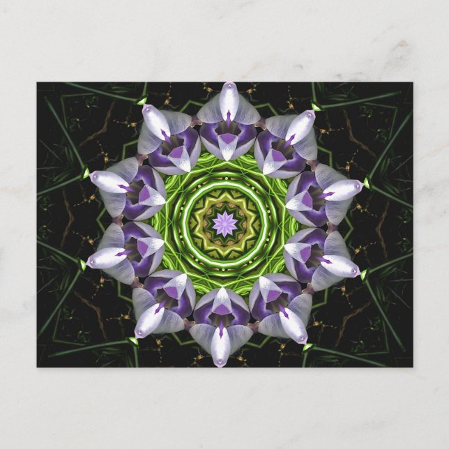 Carte Postale Fleur violette (Devant)