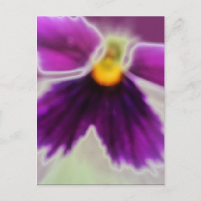 Carte Postale Fleur violette, Blanc violet (Devant)