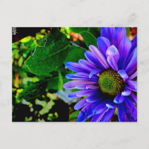 Carte Postale Fleur Violette Brillante