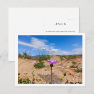 Carte Postale Fleur violette d'Arménie