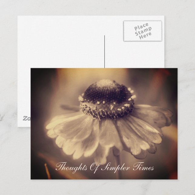 Carte Postale Fleur Zinnia plus simple Temps Inspiration (Devant / Derrière)