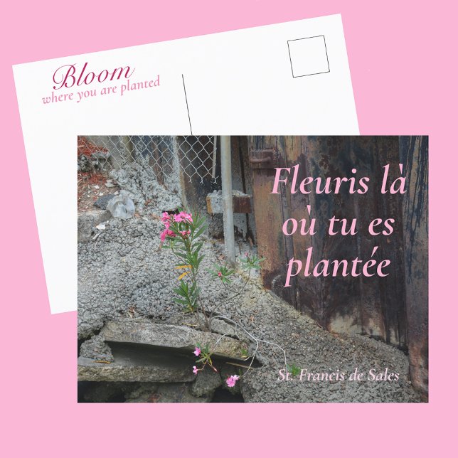 Carte Postale Fleuris là où tu es plantée Floral Rose (Créateur téléchargé)