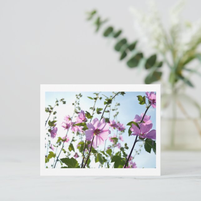 Carte Postale Fleurit d'arbre en été (Debout devant)